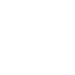 AJ Park Fantasy Books